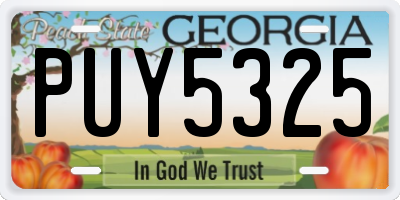 GA license plate PUY5325