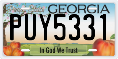 GA license plate PUY5331