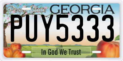 GA license plate PUY5333