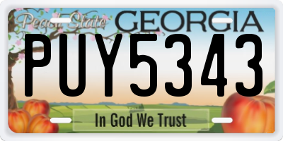 GA license plate PUY5343