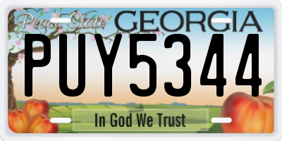 GA license plate PUY5344