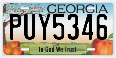 GA license plate PUY5346