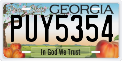GA license plate PUY5354