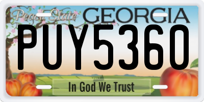 GA license plate PUY5360