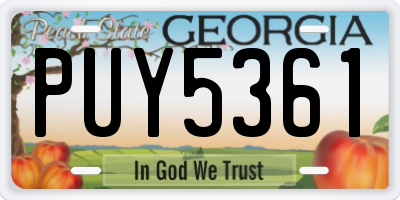 GA license plate PUY5361