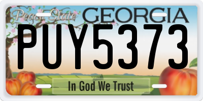 GA license plate PUY5373