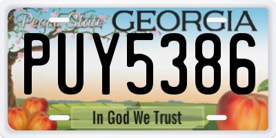 GA license plate PUY5386