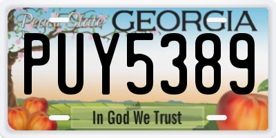 GA license plate PUY5389