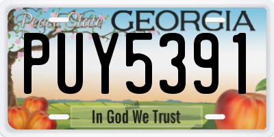 GA license plate PUY5391