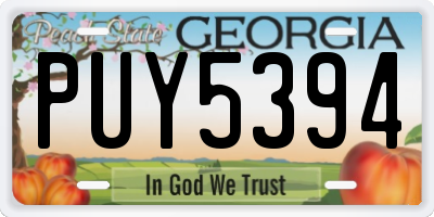 GA license plate PUY5394