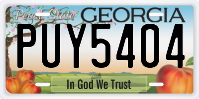 GA license plate PUY5404