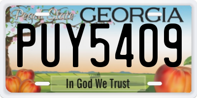 GA license plate PUY5409