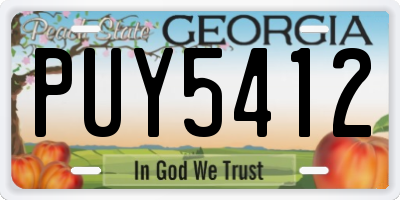 GA license plate PUY5412