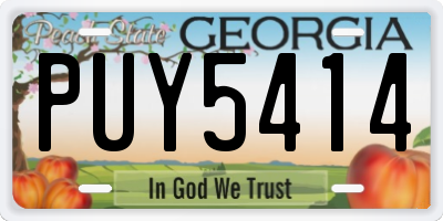 GA license plate PUY5414