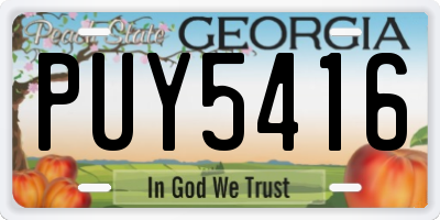 GA license plate PUY5416