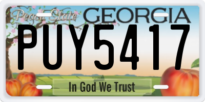 GA license plate PUY5417