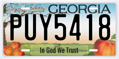 GA license plate PUY5418