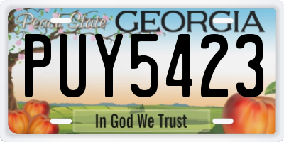 GA license plate PUY5423