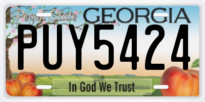 GA license plate PUY5424