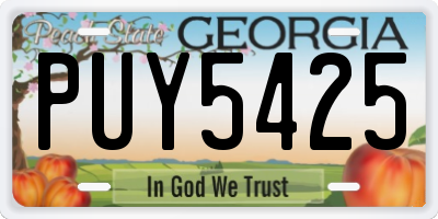 GA license plate PUY5425