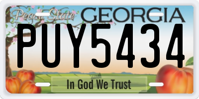 GA license plate PUY5434