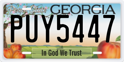 GA license plate PUY5447