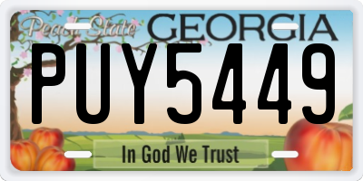 GA license plate PUY5449