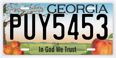 GA license plate PUY5453