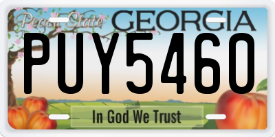 GA license plate PUY5460