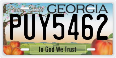 GA license plate PUY5462