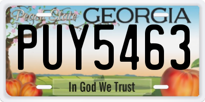 GA license plate PUY5463