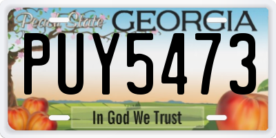 GA license plate PUY5473