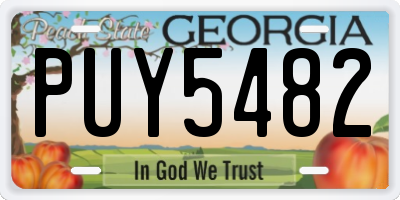 GA license plate PUY5482