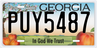 GA license plate PUY5487