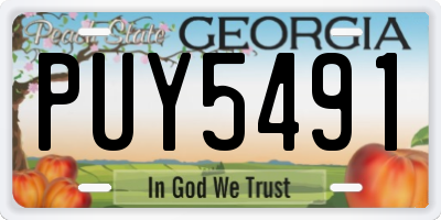 GA license plate PUY5491