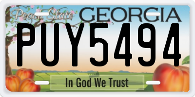 GA license plate PUY5494