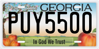 GA license plate PUY5500