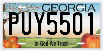 GA license plate PUY5501