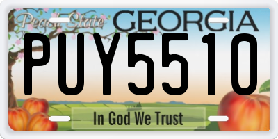 GA license plate PUY5510