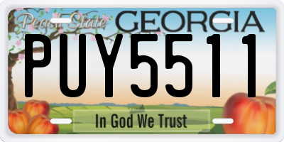 GA license plate PUY5511