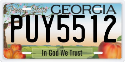 GA license plate PUY5512