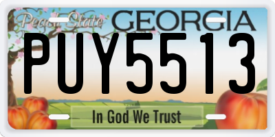 GA license plate PUY5513