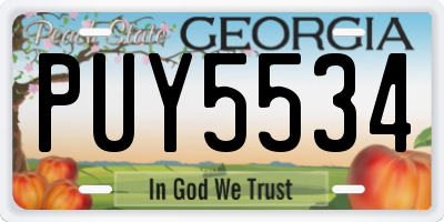 GA license plate PUY5534