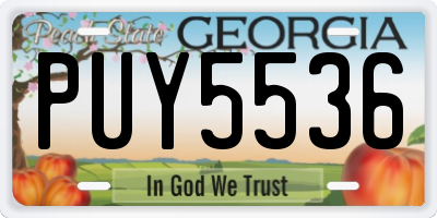 GA license plate PUY5536