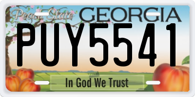 GA license plate PUY5541