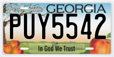 GA license plate PUY5542