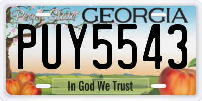 GA license plate PUY5543