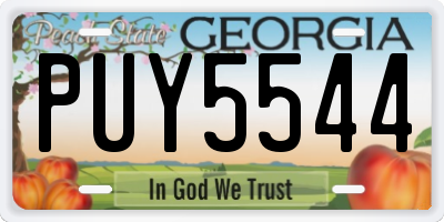 GA license plate PUY5544