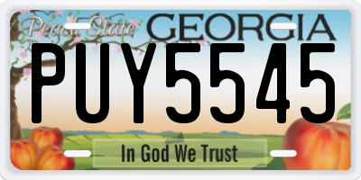 GA license plate PUY5545