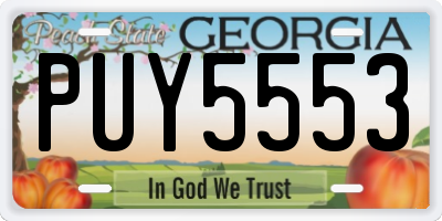 GA license plate PUY5553